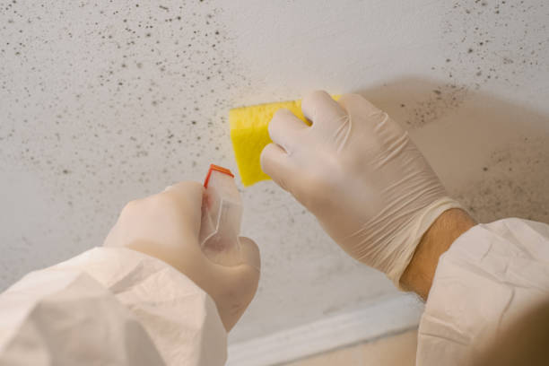 Best HVAC Mold Inspection and Cleaning  in Bradley Gardens, NJ