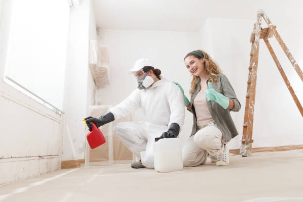 Best Mold Odor Removal Services  in Bradley Gardens, NJ