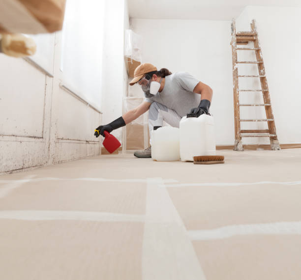Best Commercial Mold Inspection  in Bradley Gardens, NJ