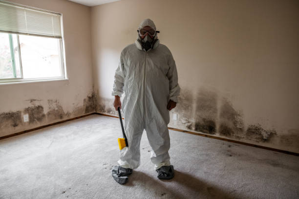Best Black Mold Removal  in Bradley Gardens, NJ