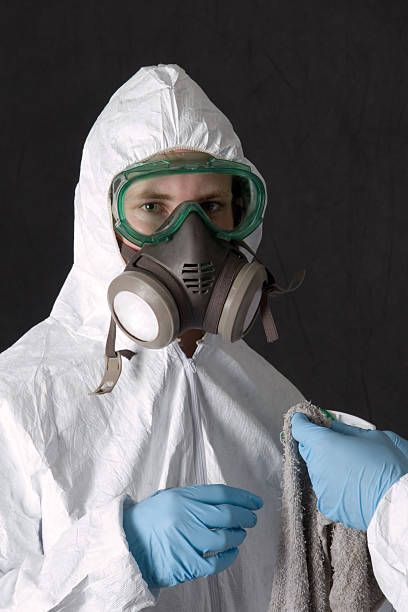 Reliable Bradley Gardens, NJ Mold Removal Solutions